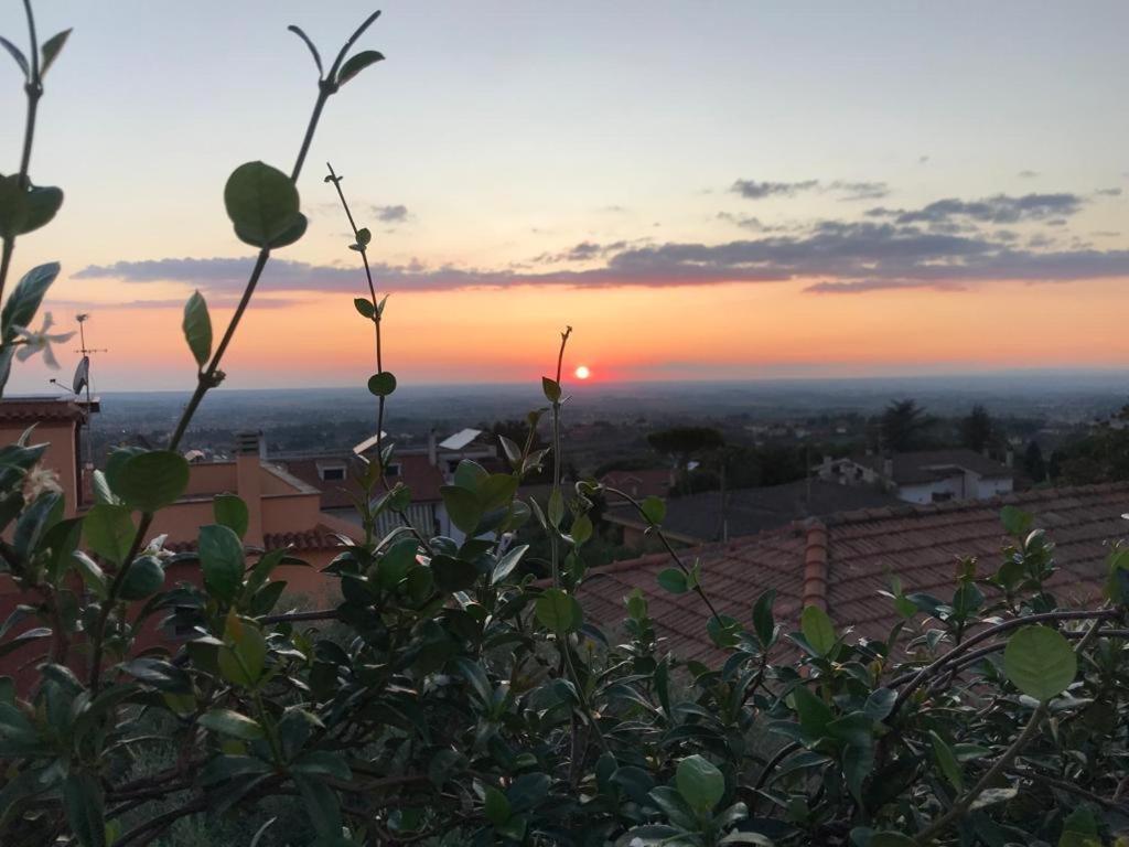 Villa Maximo apartment Albano Laziale Esterno foto